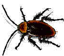 A third Bug A third Bug