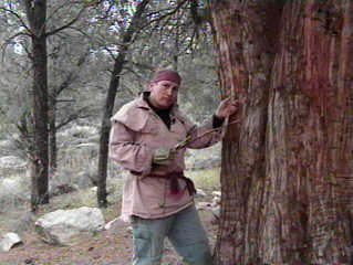 Fire tinder from tree bark Fire tinder from tree bark