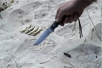 Footprint in the sand